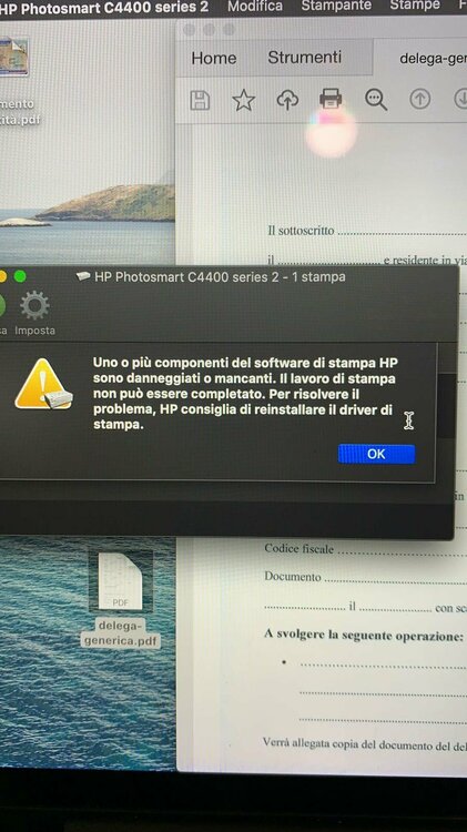 WhatsApp Image 2020-11-17 at 20.34.01.jpeg