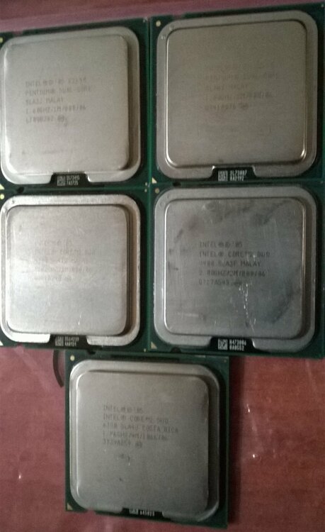 WP_20210127_17_34_27_Pro rit.jpg