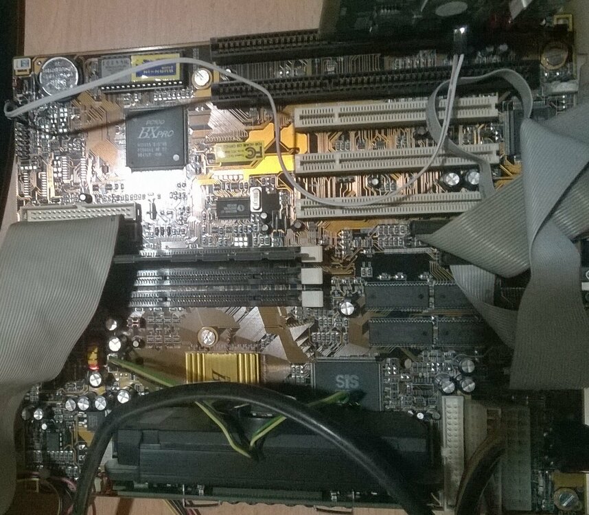 WP_20210131_15_17_13_Pro ---.jpg